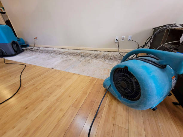 Professional Water Damage Repair technician working in Taylorsville, NC